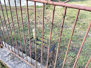 Rodinný dom s 3000 m² pozemkom – Pčoliné — foto 6
