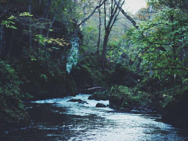 Rodinný dom v zástavbe, Poprad