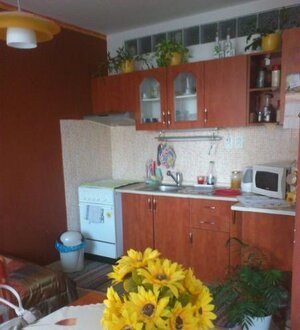 Pekný 1-izbový pražák, loggia, ideálne 2. p — foto 1