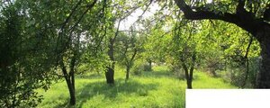 Predaj RD Vranov nad Topľou — foto 3