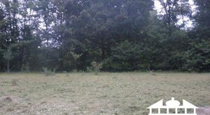 Pekným slnečným pozemkom 1321 m2 s chatkou — foto 1
