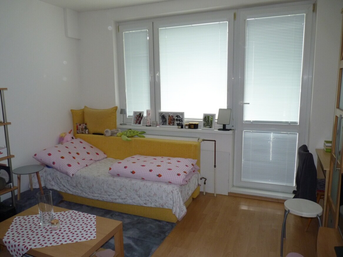 Predaj, 1 izbový byt, garsónka, Bratislava, Petržalka — foto 9