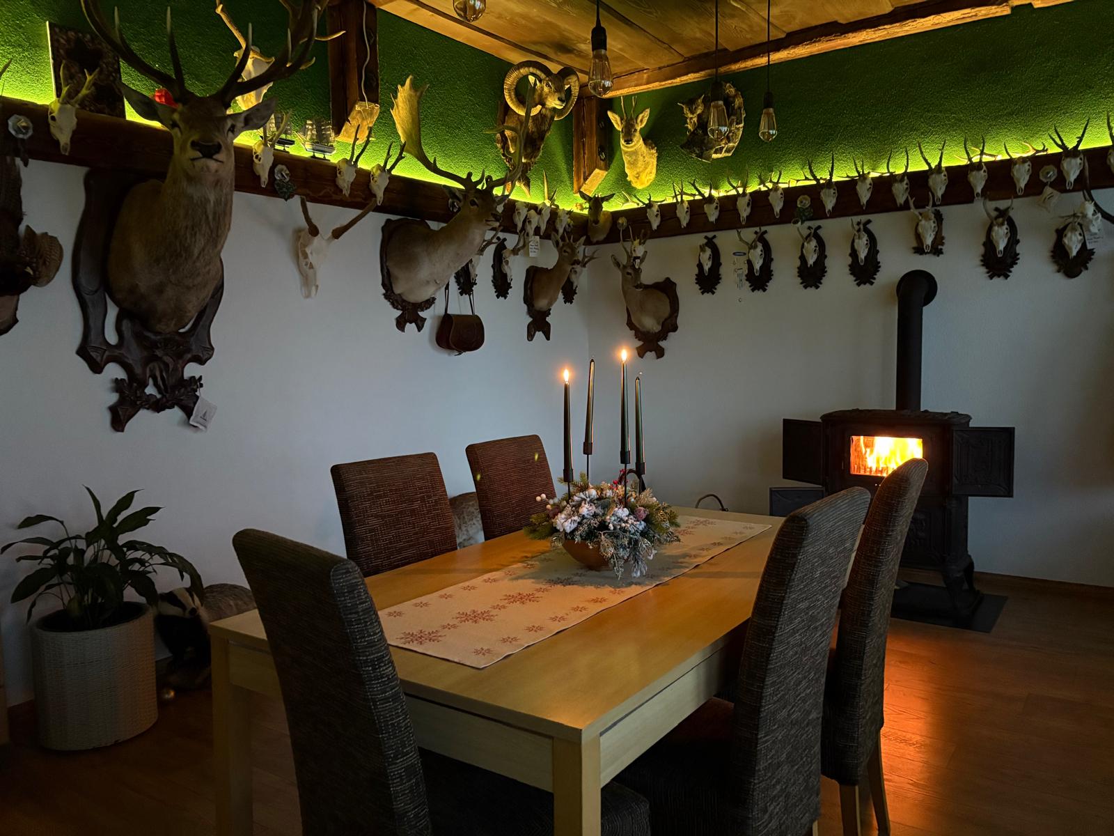Veľký luxusný deväť izbový rodinný dom s veľkým pozemkom v Preseľanoch — foto 12