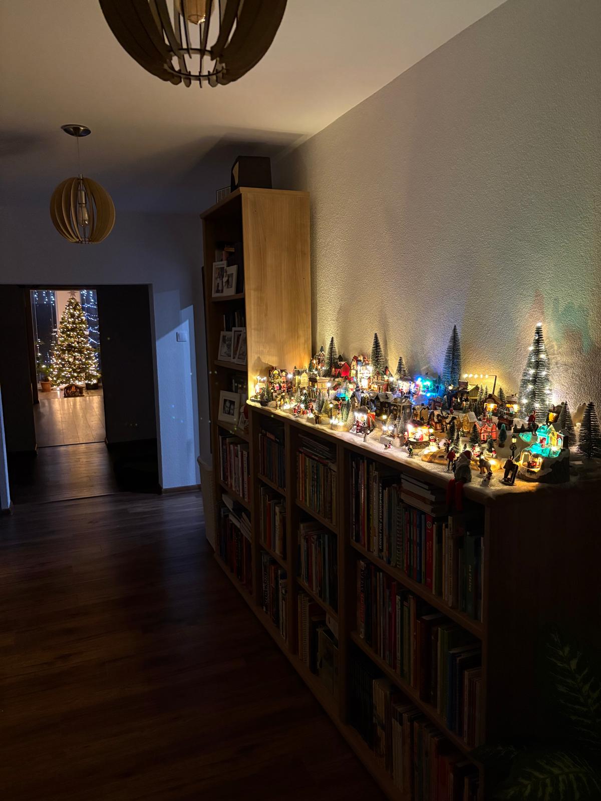 Veľký luxusný deväť izbový rodinný dom s veľkým pozemkom v Preseľanoch — foto 14