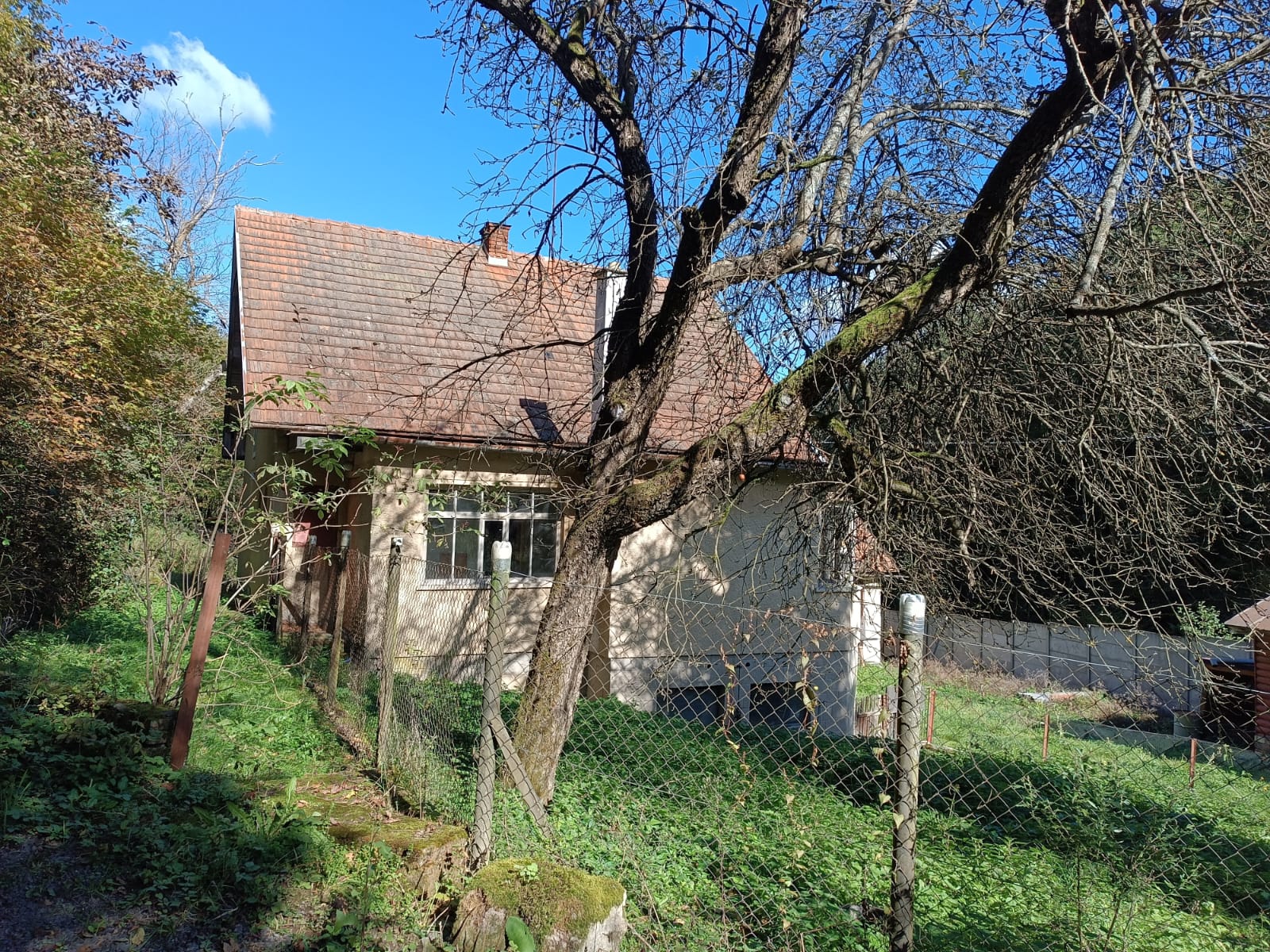 Hospodárska usadlosť — foto 2