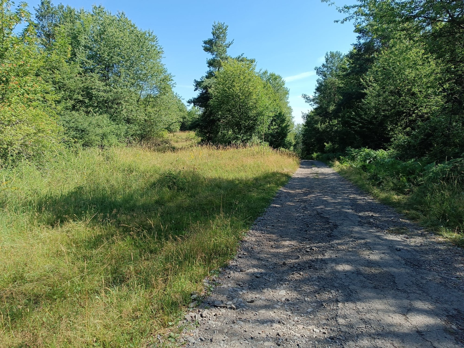Na predaj pozemok v lese Hrabičov — foto 2