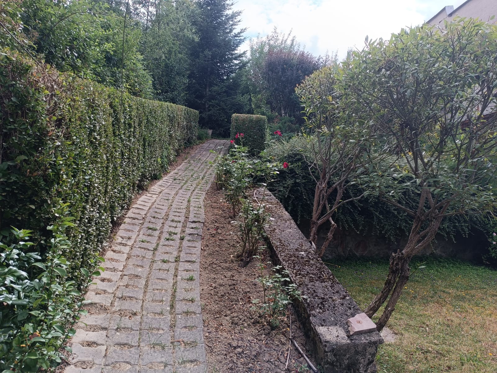 Dom so záhradou a ovocnými stromami na pokojnom mieste – Nová Baňa — foto 19