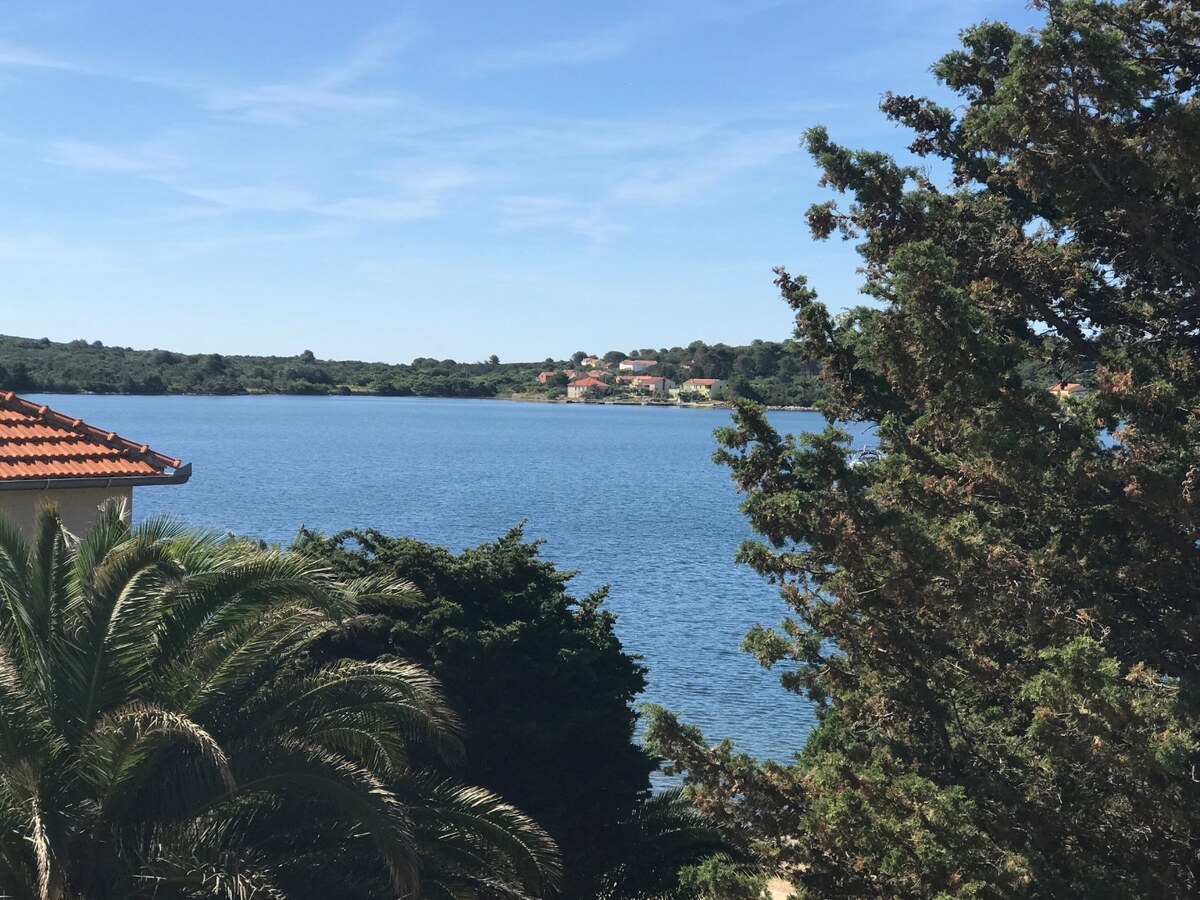 DVOUPOKOJOVÝ APARTMÁN, 35 M OD MOŘE, VERUNIĆ - DUGI OTOK — foto 3