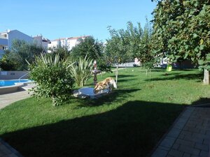 VILLA S BAZÉNOM A VÝHĽADOM NA MORE, ZADAR — foto 11